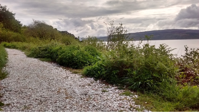 A mollusc shell pathway in Isle of Mull, Scotland. Photo credit: James Morris